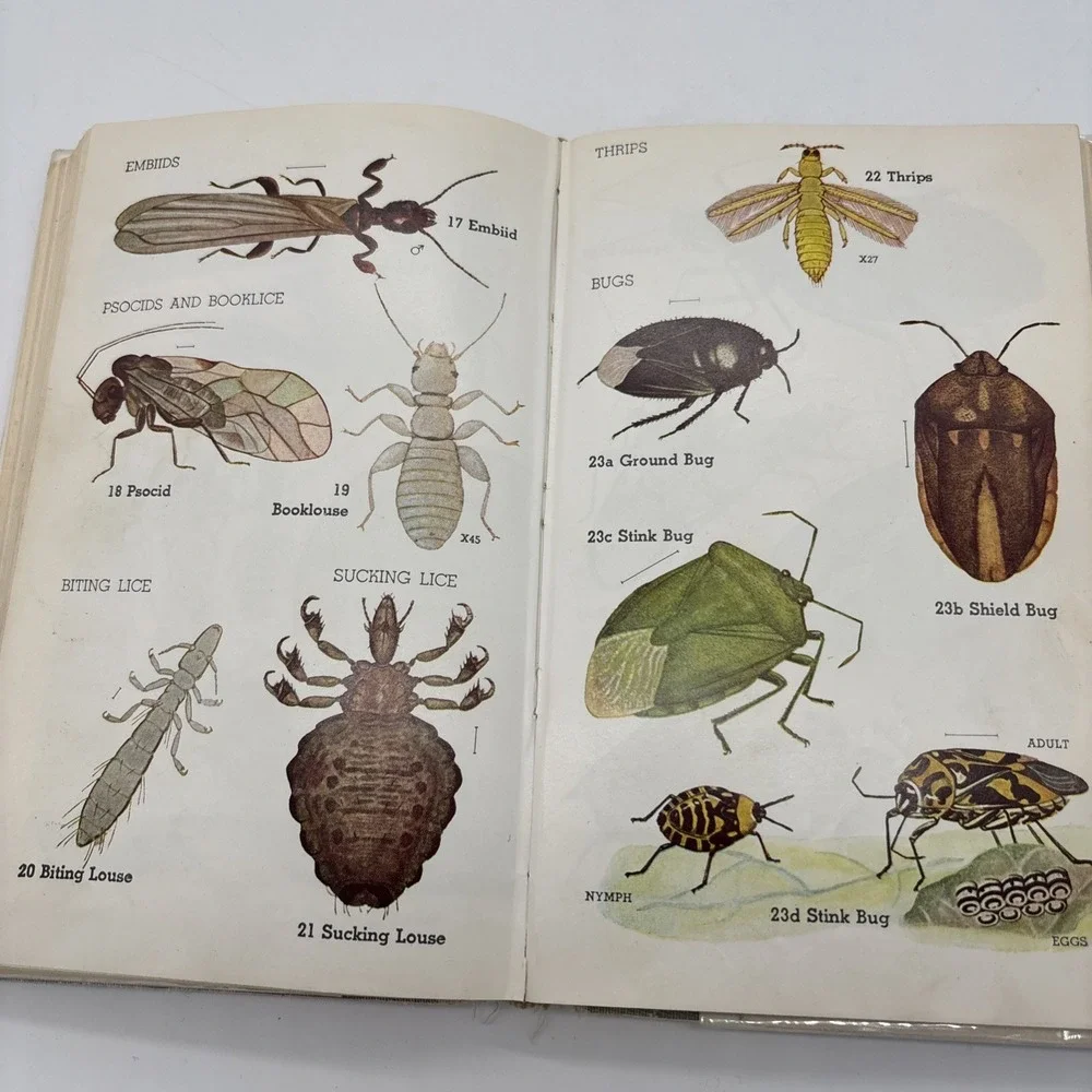 The Insect Guide by Ralph B Swain VTG 1948 Hardcover Dust Jacket Good Condition